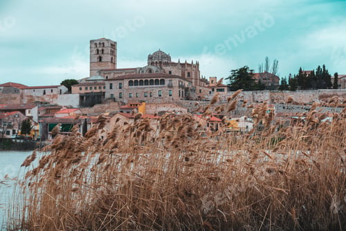 Preview: Selective focus shot of Catedral de Zamora in Spain