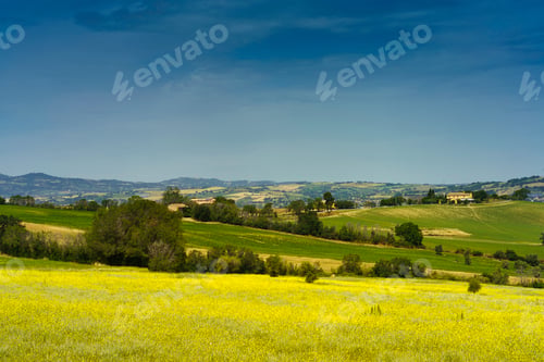 Preview: Rural landscape along the road from Fano to Mondavio, Marche