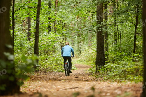 Preview: Cycling along forest path