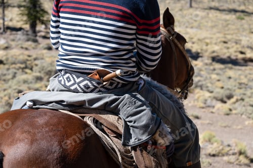 Preview: Close-up of a person riding a majestic, brown horse through a dry field