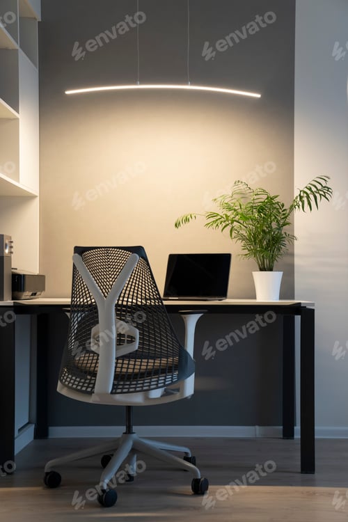 Preview: Company office corner with a modern desk, orthopedic chair, up-to-date computer and green flowerpot