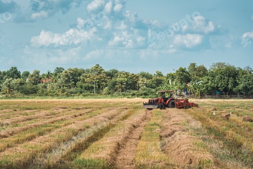 Preview: Tractor working on rice filed during harvest season in farmland