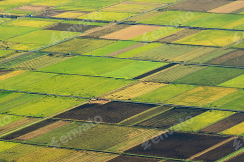 Preview: Paddy rice terraces, green agricultural fields in countryside of mountain hills valley, Vietnam.