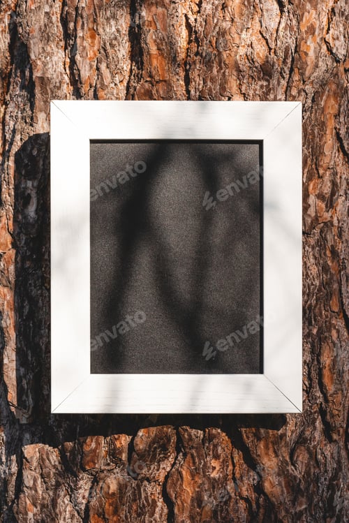 Preview: empty blackboard on bark of tree in park