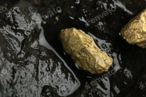 Preview: Shiny gold nuggets on wet stone, above view