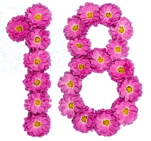 Visualização: Numeral arábico 18, dezoito, de flores de crisântemo, isolado em fundo branco