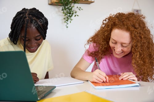 Preview: Two female students collaborating and smiling during study session
