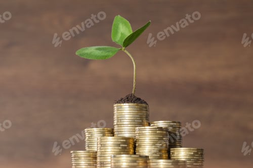 Preview: Stacks of coins and green sprout on blurred background, closeup. Investment concept