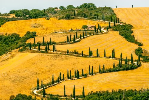 Preview: Landscape in Val d'Orcia (Tuscany)