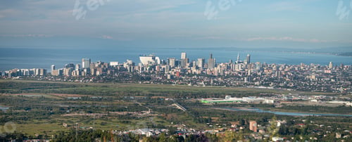 Preview: Aerial view of modern coastal city with buildings, green fields and trees in foreground
