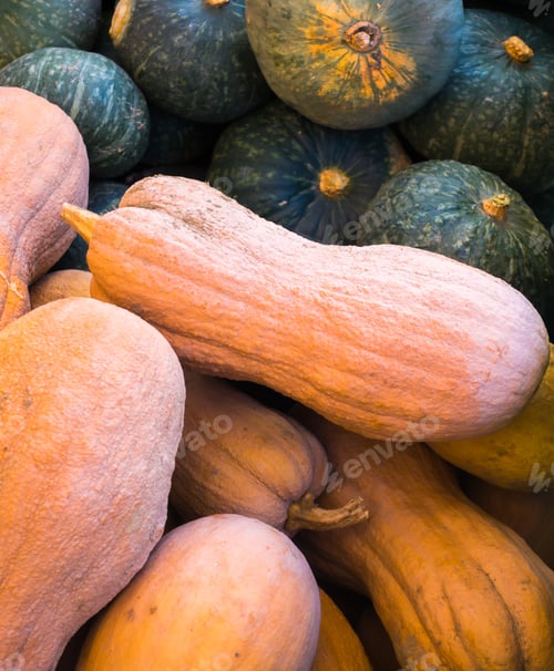 Preview: Diverse assortment of pumpkins.
