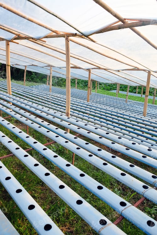 Preview: Hydroponics vegetable farm