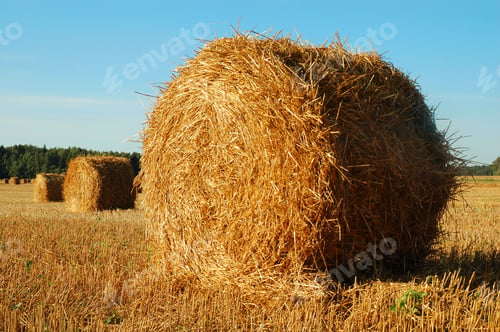 Preview: Hay bales