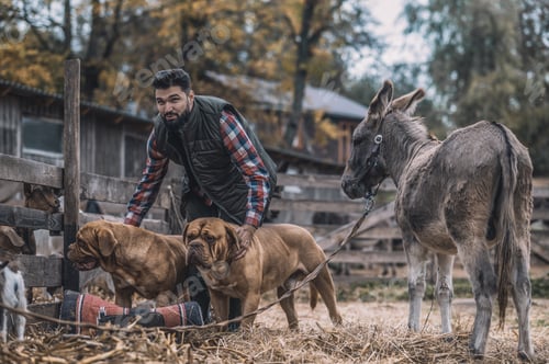 Preview: Bearded man with two big dogs in a country side