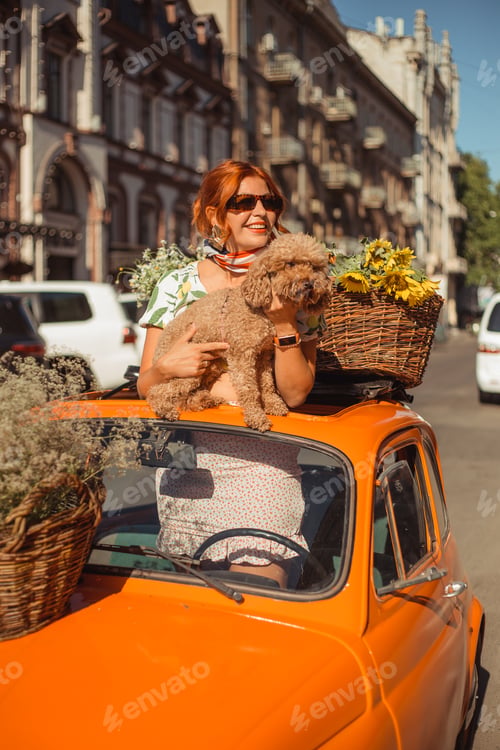 Preview: A young woman in a silk headscarf in a small orange retro car plays with a small dog