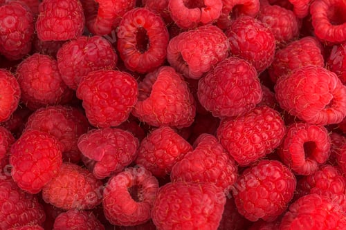 Preview: raspberries are shown in this close - up shot