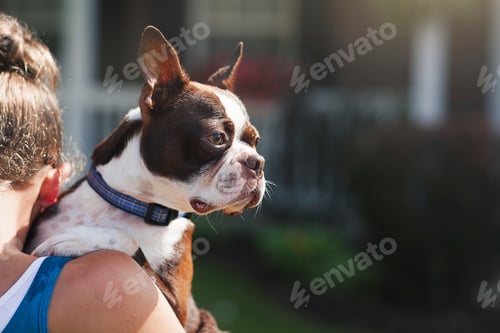 Preview: View over shoulder of girl carrying dog
