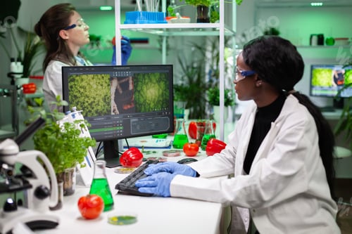 Preview: African american chemist researcher typing microbiology expertise on computer