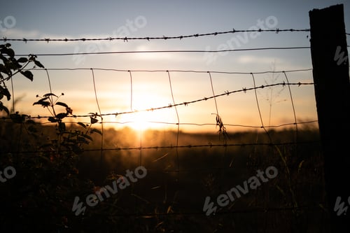 Preview: Sunset