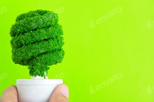 Preview: Eco light bulb energy concept