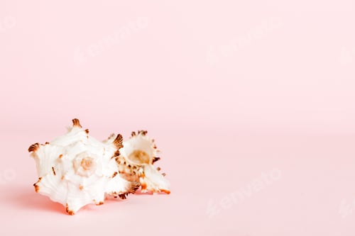 Preview: Summer time concept with sea shells or starfish on a table background with copy space for text