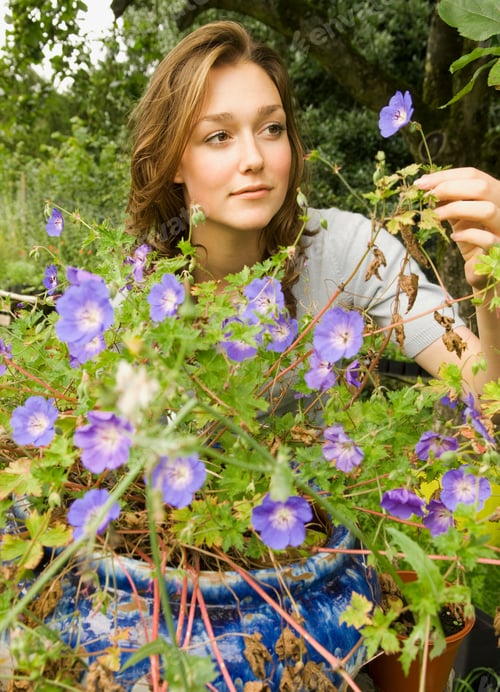 Preview: A female looking at a purple flower
