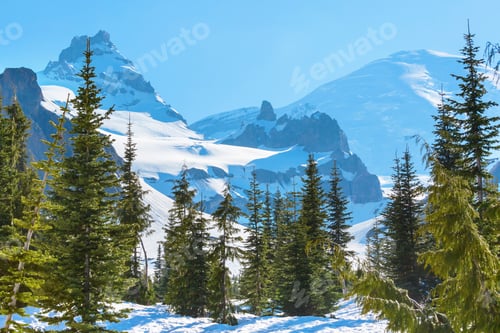 Preview: Mt Rainier in early summer
