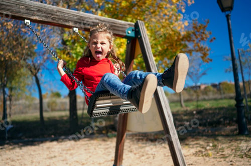 Preview: Little boy swings on the flying chair