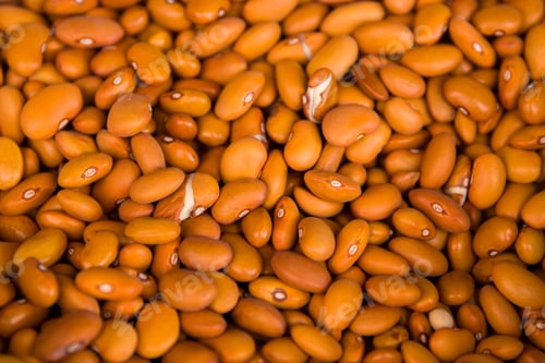 Preview: Row beans