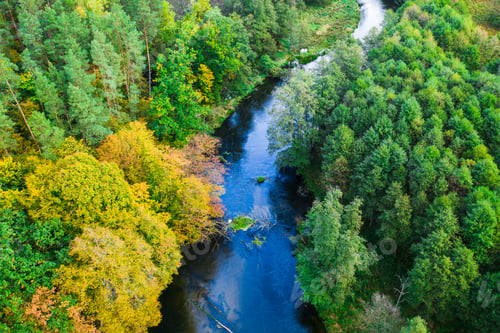 Preview: Aerial view of stunning forest and river in autumn