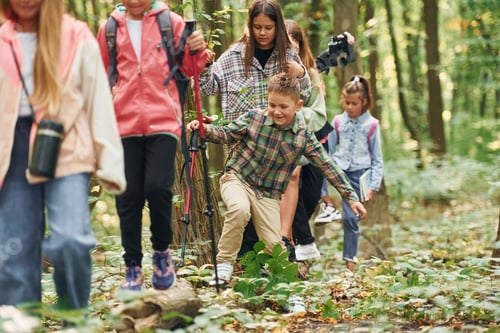 Preview: Walking on the new path. Kids in green forest at summer daytime together