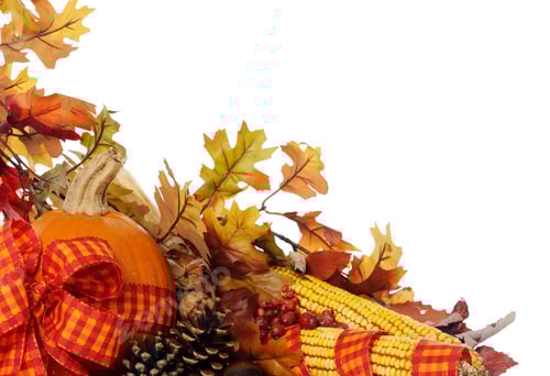 Preview: Autumnal composition