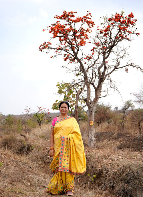 Preview: Portrait of Indian woman at outdoor.