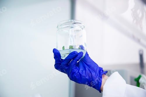 Preview: Scientist holding a glass jar with a plant specimen. Biology, research.
