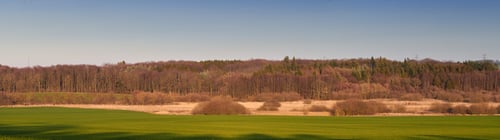 Green Fields and Forest Landscape under Blue Sky