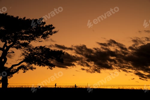 Preview: Twilight landscape silhouette of a single tree