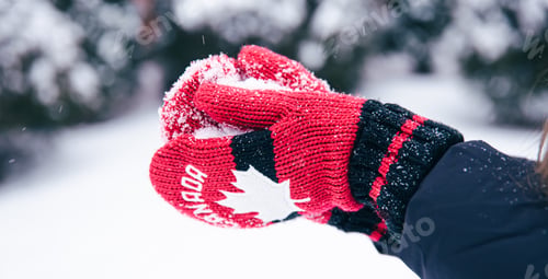 Preview: Close-up of hands in red Canada mittens make a snowball from the snow.
