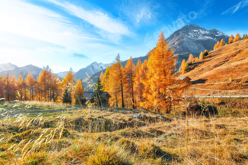 Preview: Fantastic autumn landscape at Grossglockner High Alpine Road.