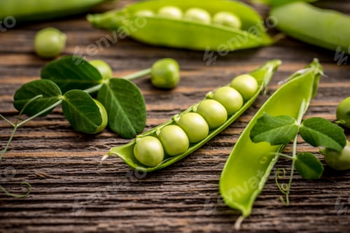 Preview: Fresh pea fruit