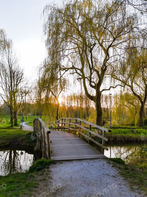 Preview: A wooden canal bridge in the park at sunset.