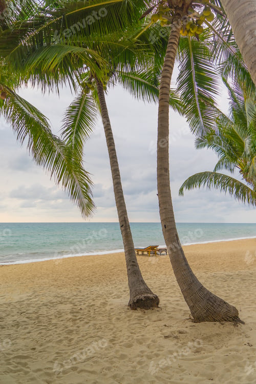 Preview: Sea sunrise in Koh Samui island
