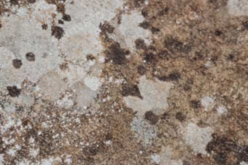 Preview: blurred defocused stone texture