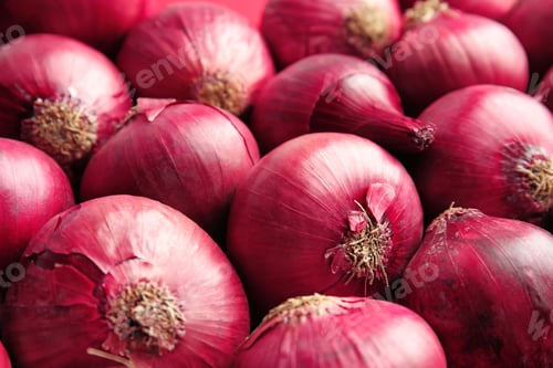 Preview: Ripe red onions as background