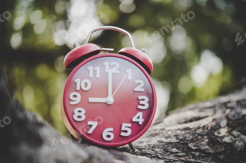 Preview: Close up of alarm clock on tree branch outside.