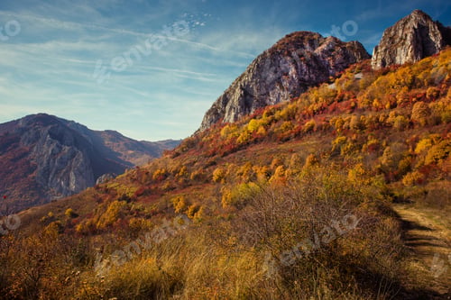 Preview: Mountain autumn landscape with colorful forest