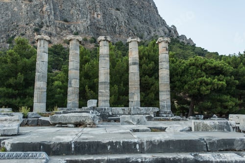 Preview: Columns of Priene