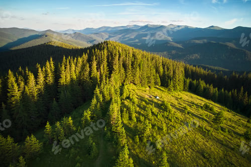 Preview: Aerial view tent in sunlit grassy clearing, surrounded by dense forest.