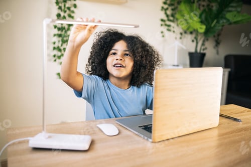 Preview: handsome boy with curly hair doing homework at home with computer and notebook