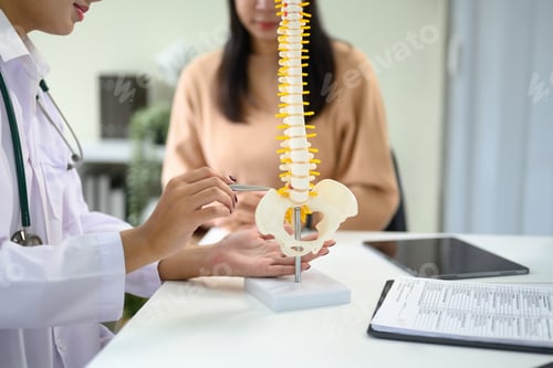 Preview: Doctor explaining human spine anatomy with model during medical consultation