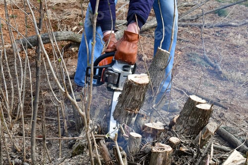 Preview: Male using a chainsaw to cut bush tree stumps down. Dangerous jobs chores safety equipment required